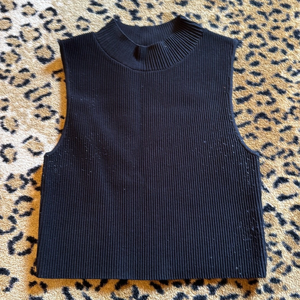 Aritzia Black Bodycon Top-with Mock Neck